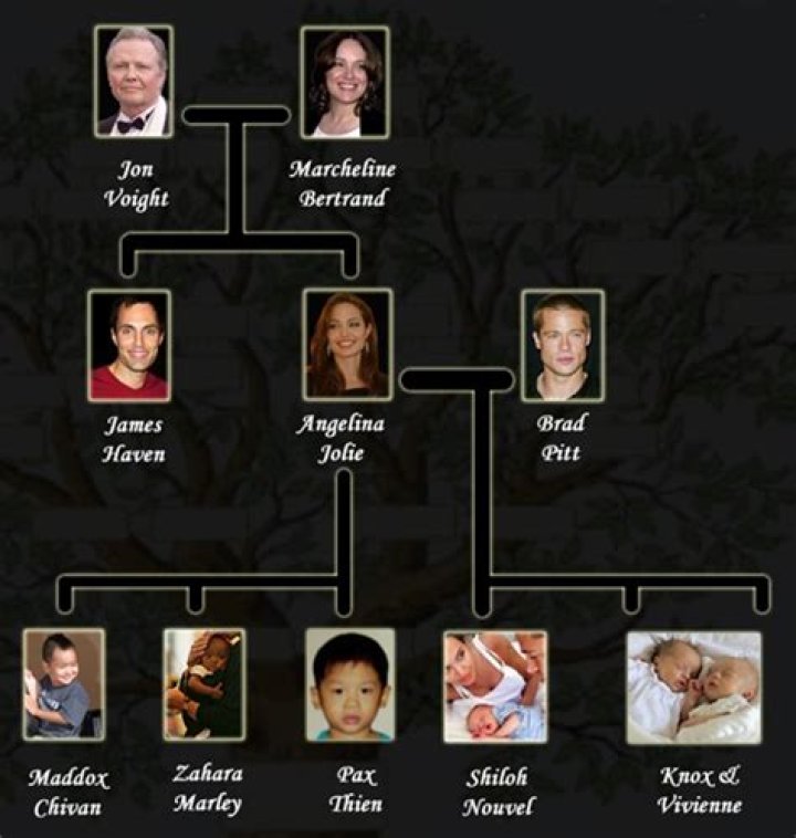 Angelina Jolie Family Tree Father, Mother and Children Name Pictures