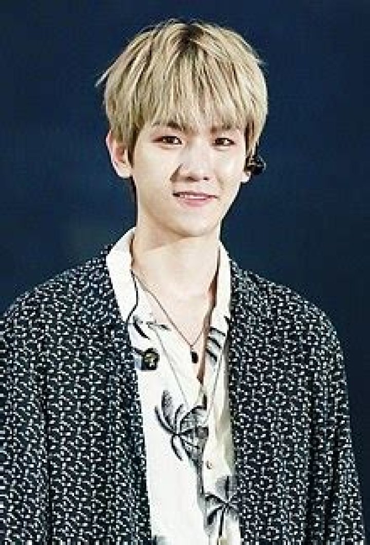 
How Much Money Does Byun Baek-Hyun Make? Latest Income Salary

